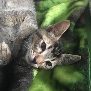 Meet your Posher, Debra